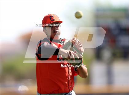 Thumbnail 2 in Cholla @ Sahuarita photogallery.