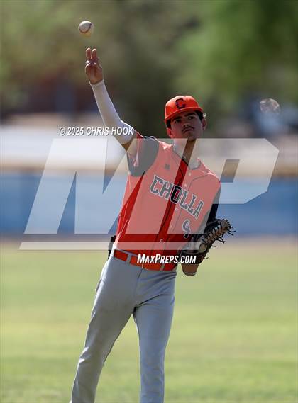 Thumbnail 2 in Cholla @ Sahuarita photogallery.