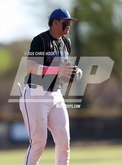 Thumbnail 3 in Cholla @ Sahuarita photogallery.