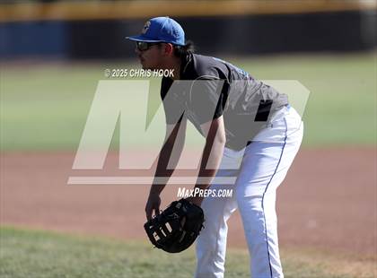 Thumbnail 1 in Cholla @ Sahuarita photogallery.