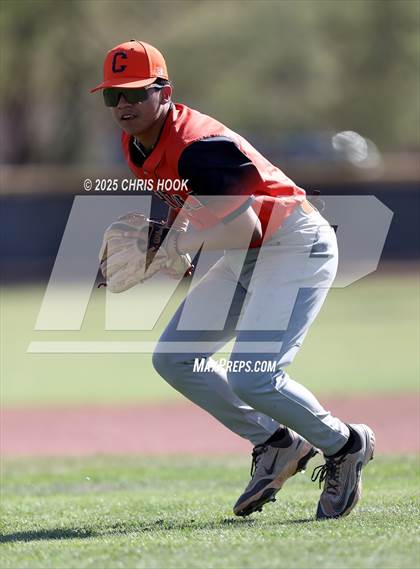 Thumbnail 1 in Cholla @ Sahuarita photogallery.