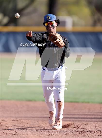 Thumbnail 1 in Cholla @ Sahuarita photogallery.