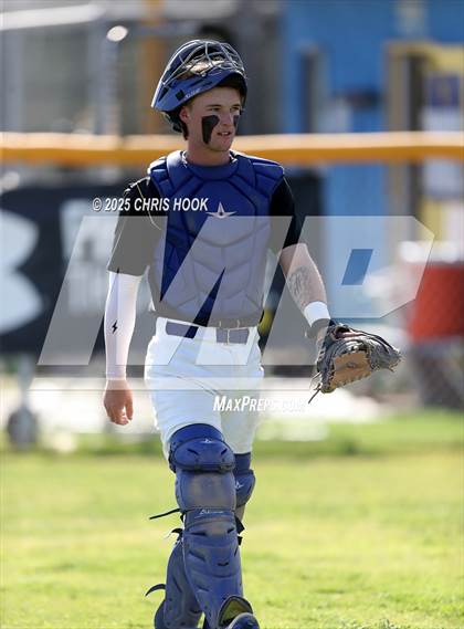 Thumbnail 2 in Cholla @ Sahuarita photogallery.