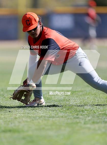 Thumbnail 2 in Cholla @ Sahuarita photogallery.