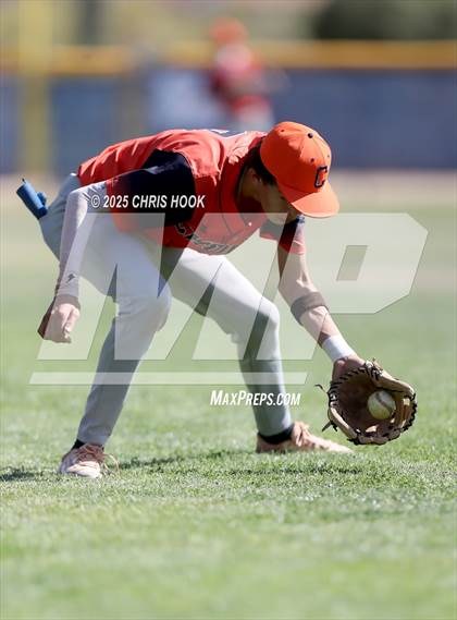 Thumbnail 1 in Cholla @ Sahuarita photogallery.