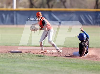 Thumbnail 2 in Cholla @ Sahuarita photogallery.
