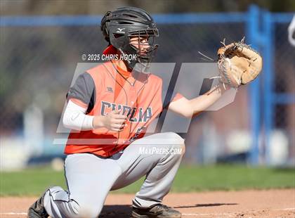 Thumbnail 3 in Cholla @ Sahuarita photogallery.