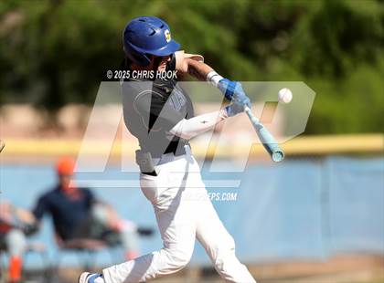 Thumbnail 3 in Cholla @ Sahuarita photogallery.