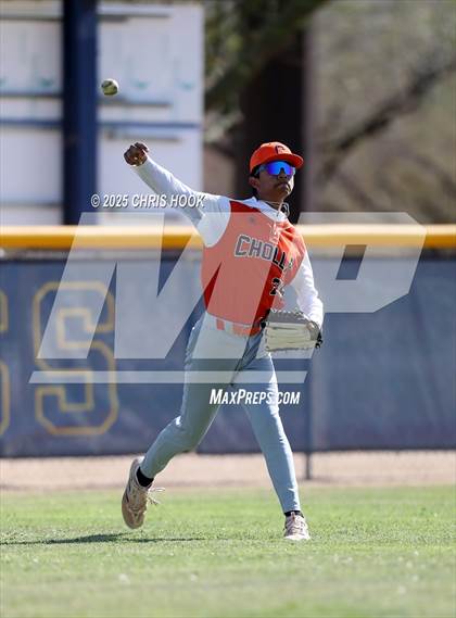 Thumbnail 1 in Cholla @ Sahuarita photogallery.