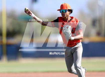 Thumbnail 2 in Cholla @ Sahuarita photogallery.