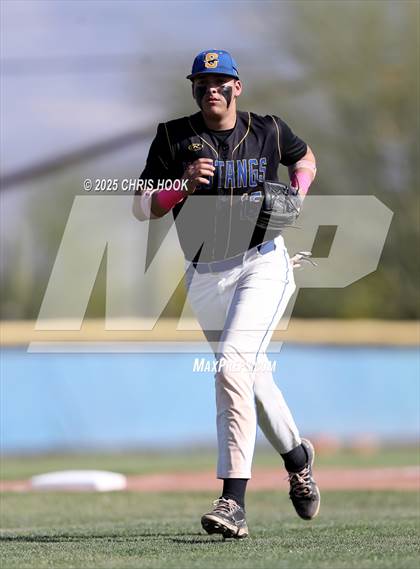 Thumbnail 1 in Cholla @ Sahuarita photogallery.