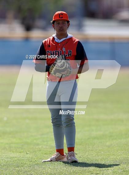 Thumbnail 1 in Cholla @ Sahuarita photogallery.