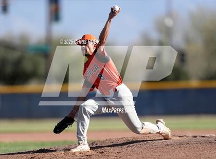 Thumbnail 1 in Cholla @ Sahuarita photogallery.