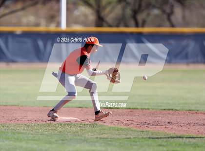 Thumbnail 1 in Cholla @ Sahuarita photogallery.
