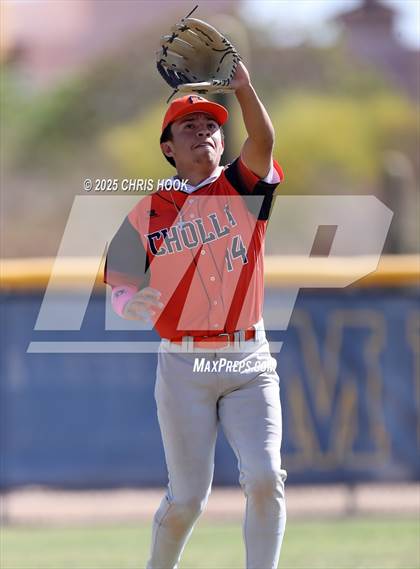Thumbnail 2 in Cholla @ Sahuarita photogallery.