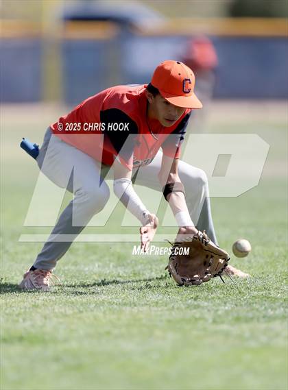 Thumbnail 3 in Cholla @ Sahuarita photogallery.