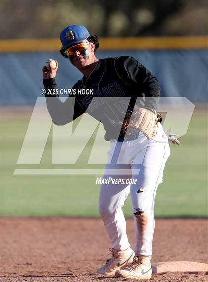 Thumbnail 1 in Cholla @ Sahuarita photogallery.