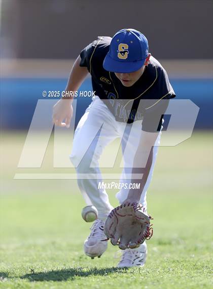 Thumbnail 1 in Cholla @ Sahuarita photogallery.