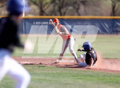 Thumbnail 1 in Cholla @ Sahuarita photogallery.