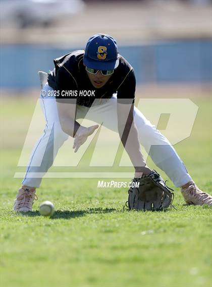 Thumbnail 3 in Cholla @ Sahuarita photogallery.