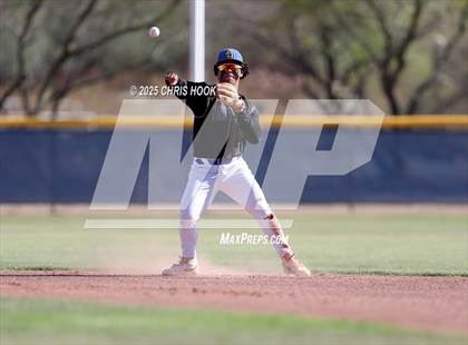 Thumbnail 1 in Cholla @ Sahuarita photogallery.
