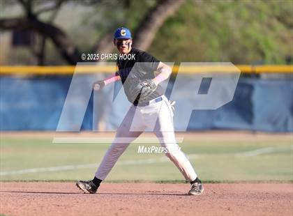 Thumbnail 2 in Cholla @ Sahuarita photogallery.