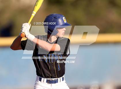 Thumbnail 2 in Cholla @ Sahuarita photogallery.