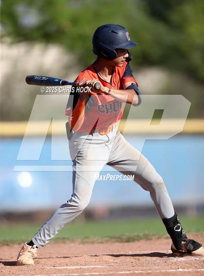 Thumbnail 3 in Cholla @ Sahuarita photogallery.