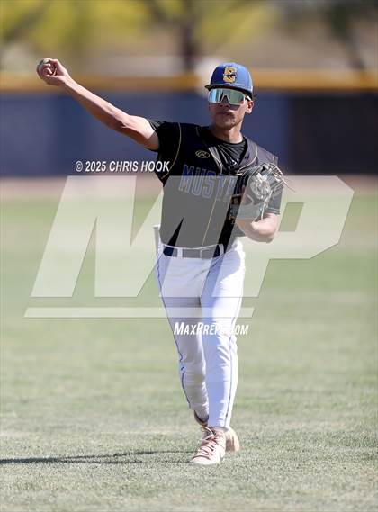 Thumbnail 3 in Cholla @ Sahuarita photogallery.