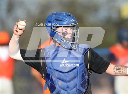 Thumbnail 1 in Cholla @ Sahuarita photogallery.