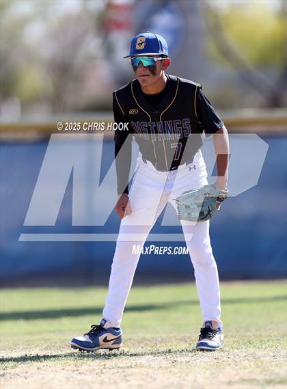 Thumbnail 3 in Cholla @ Sahuarita photogallery.