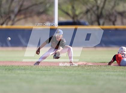 Thumbnail 2 in Cholla @ Sahuarita photogallery.