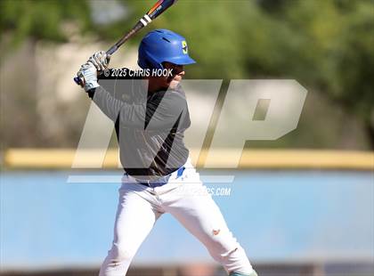 Thumbnail 2 in Cholla @ Sahuarita photogallery.