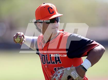 Thumbnail 2 in Cholla @ Sahuarita photogallery.