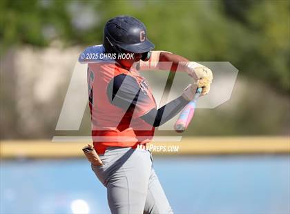 Thumbnail 1 in Cholla @ Sahuarita photogallery.