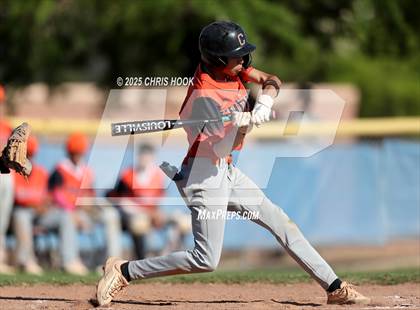 Thumbnail 3 in Cholla @ Sahuarita photogallery.