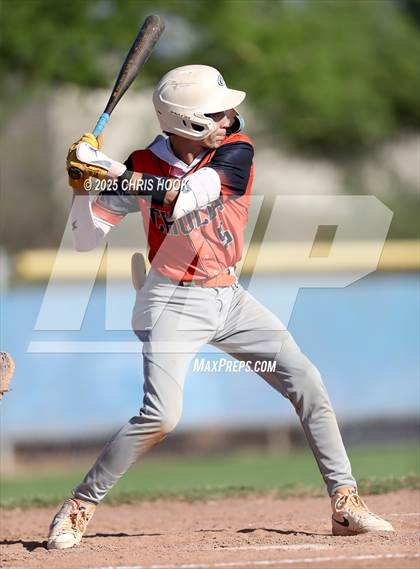 Thumbnail 3 in Cholla @ Sahuarita photogallery.