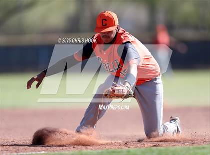 Thumbnail 2 in Cholla @ Sahuarita photogallery.
