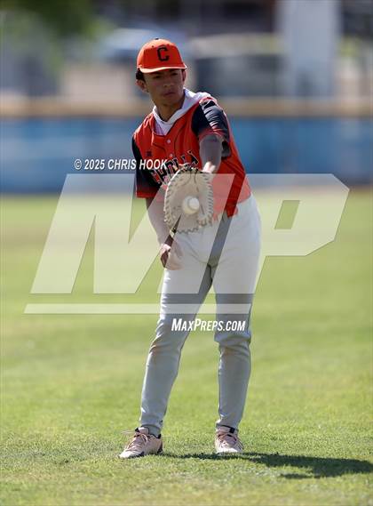 Thumbnail 2 in Cholla @ Sahuarita photogallery.