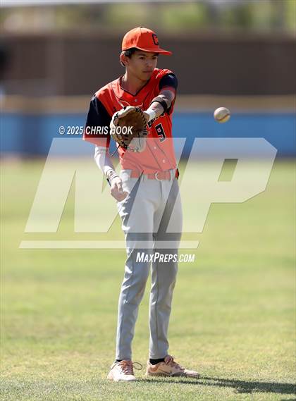 Thumbnail 3 in Cholla @ Sahuarita photogallery.