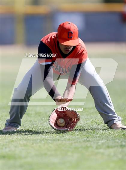 Thumbnail 1 in Cholla @ Sahuarita photogallery.