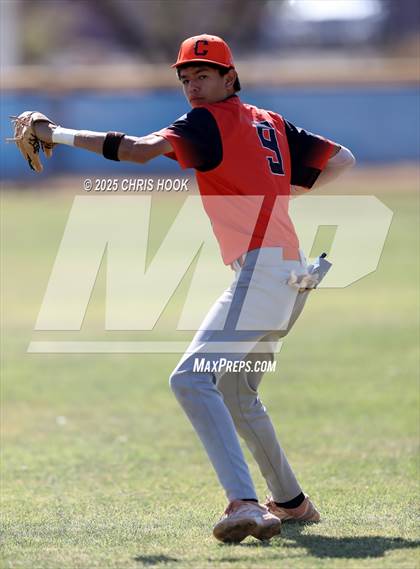 Thumbnail 3 in Cholla @ Sahuarita photogallery.