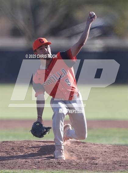 Thumbnail 3 in Cholla @ Sahuarita photogallery.