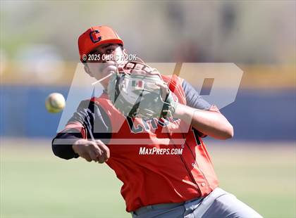 Thumbnail 3 in Cholla @ Sahuarita photogallery.