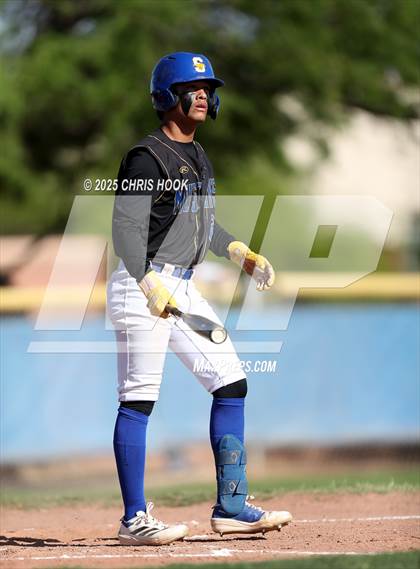 Thumbnail 3 in Cholla @ Sahuarita photogallery.