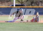 Photo from the gallery "Cholla @ Sahuarita"