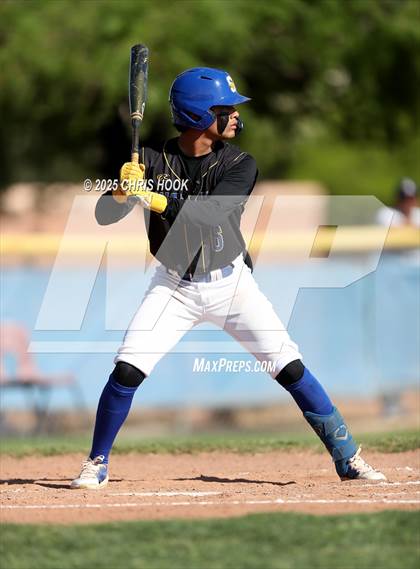 Thumbnail 3 in Cholla @ Sahuarita photogallery.