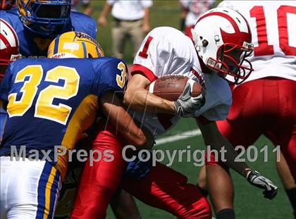 Thumbnail 2 in Pembroke Hill @ Burroughs photogallery.
