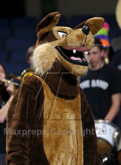 Thumbnail 3 in Alemany vs. Calabasas (CIF SS D3AA Final) photogallery.