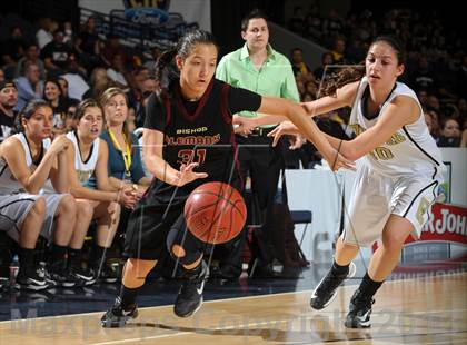 Thumbnail 2 in Alemany vs. Calabasas (CIF SS D3AA Final) photogallery.